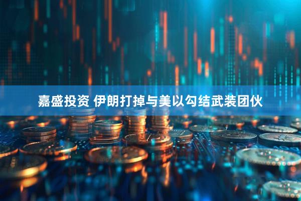 嘉盛投资 伊朗打掉与美以勾结武装团伙