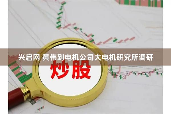 兴启网 黄伟到电机公司大电机研究所调研
