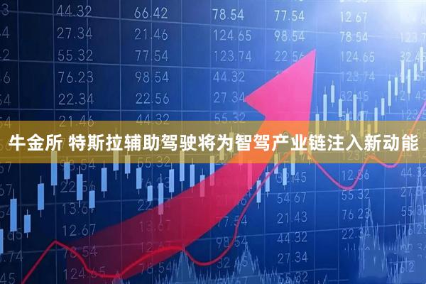 牛金所 特斯拉辅助驾驶将为智驾产业链注入新动能