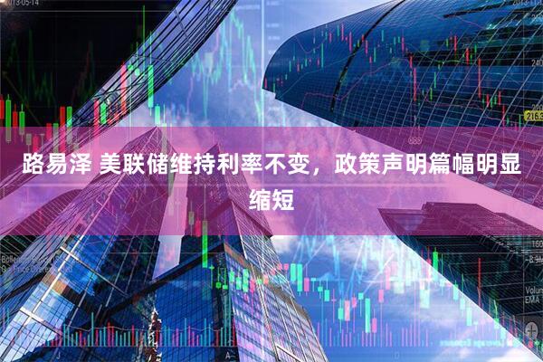 路易泽 美联储维持利率不变，政策声明篇幅明显缩短