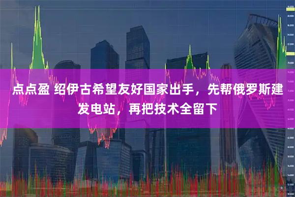 点点盈 绍伊古希望友好国家出手,先帮俄罗斯建发电站,再把技术全留下