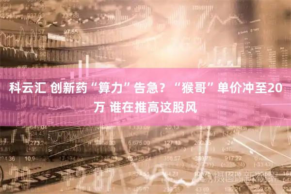 科云汇 创新药“算力”告急?“猴哥”单价冲至20万 谁在推高这股风