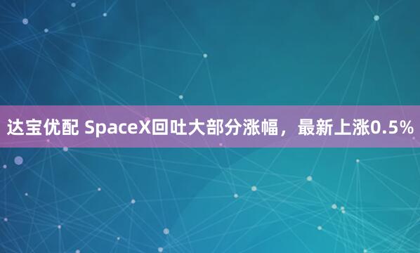 达宝优配 SpaceX回吐大部分涨幅，最新上涨0.5%
