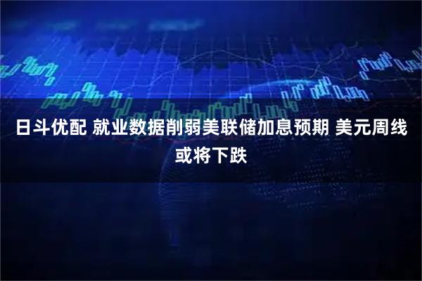 日斗优配 就业数据削弱美联储加息预期 美元周线或将下跌