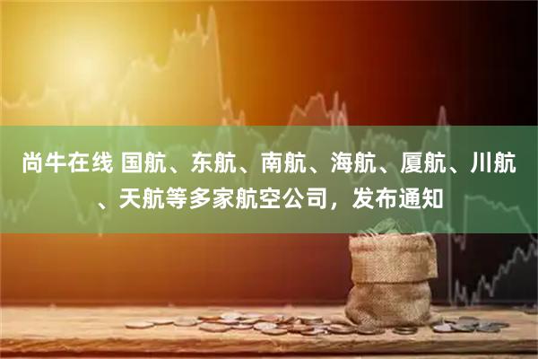尚牛在线 国航、东航、南航、海航、厦航、川航、天航等多家航空公司，发布通知