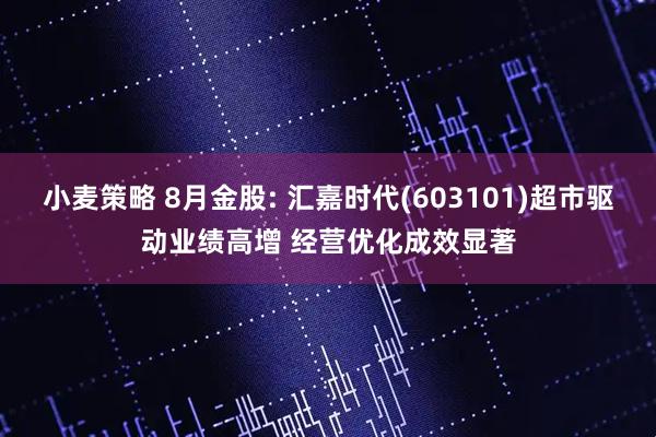 小麦策略 8月金股: 汇嘉时代(603101)超市驱动业绩高增 经营优化成效显著