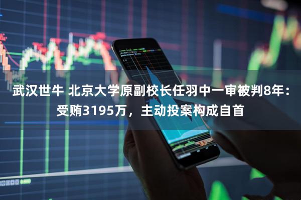 武汉世牛 北京大学原副校长任羽中一审被判8年：受贿3195万，主动投案构成自首