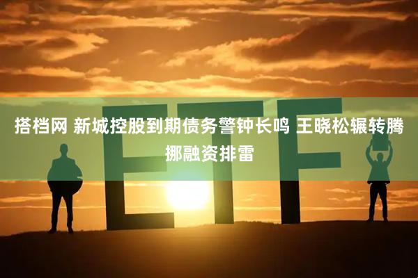 搭档网 新城控股到期债务警钟长鸣 王晓松辗转腾挪融资排雷